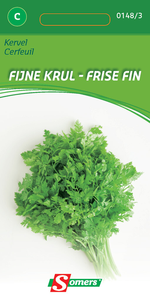 Kervel fijne Krul