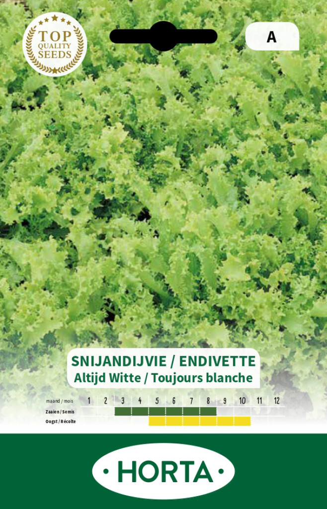 Snijandijvie Altijd Witte Snijandijvie Altijd Witte