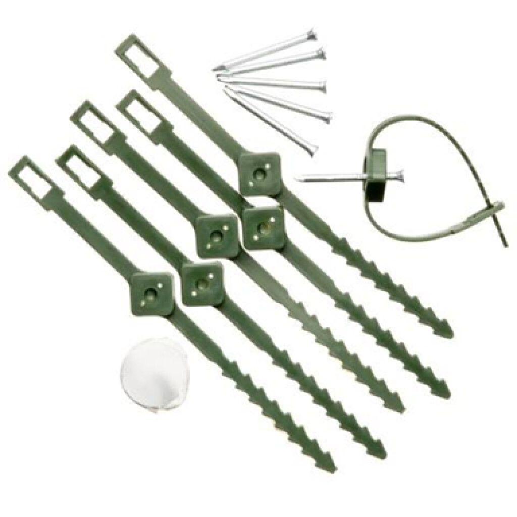 Plantenklem groen Ø25-45mm 6x met rattenstaartsluiting en nagels