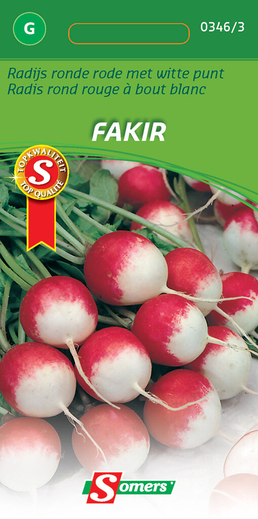 Radijs ronde rode met witte punt Fakir