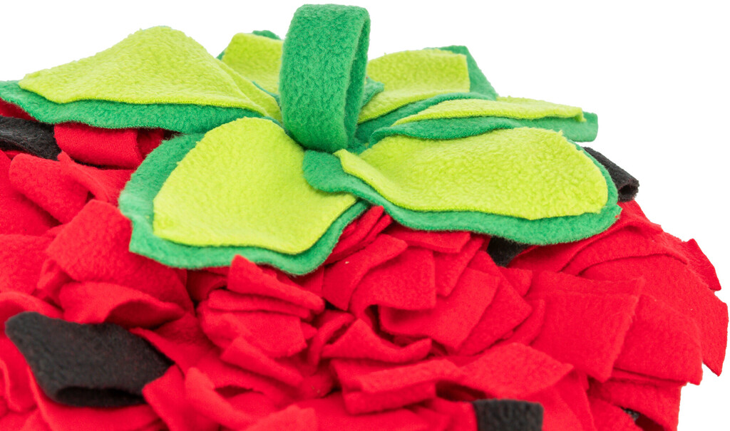 Snuffelmat aardbei, rood