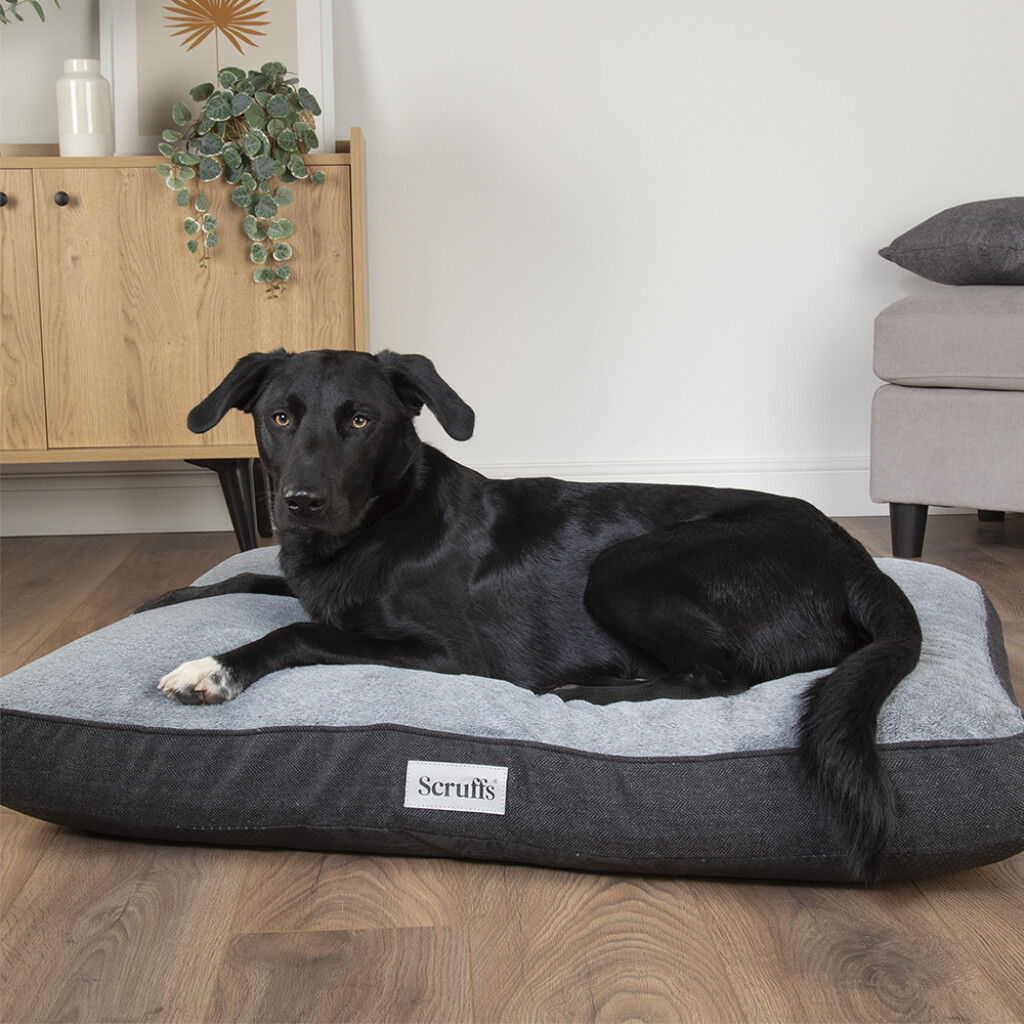Harvard Memory Foam coussin orthopédique L - Gris graphite Harvard Memory Foam coussin orthopédique L - Gris graphite