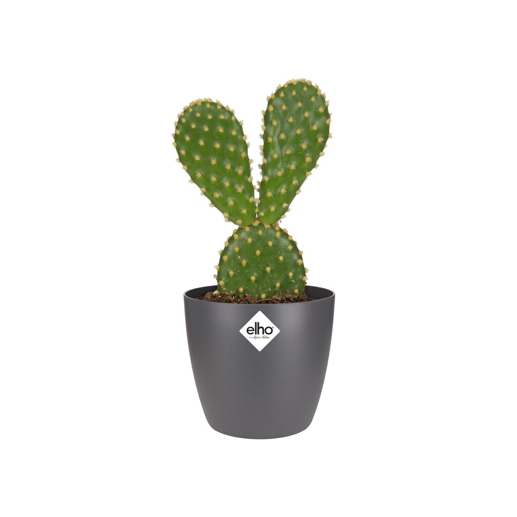 Brussels Rond Mini 7cm anthracite Brussels Rond Mini 7cm anthracite