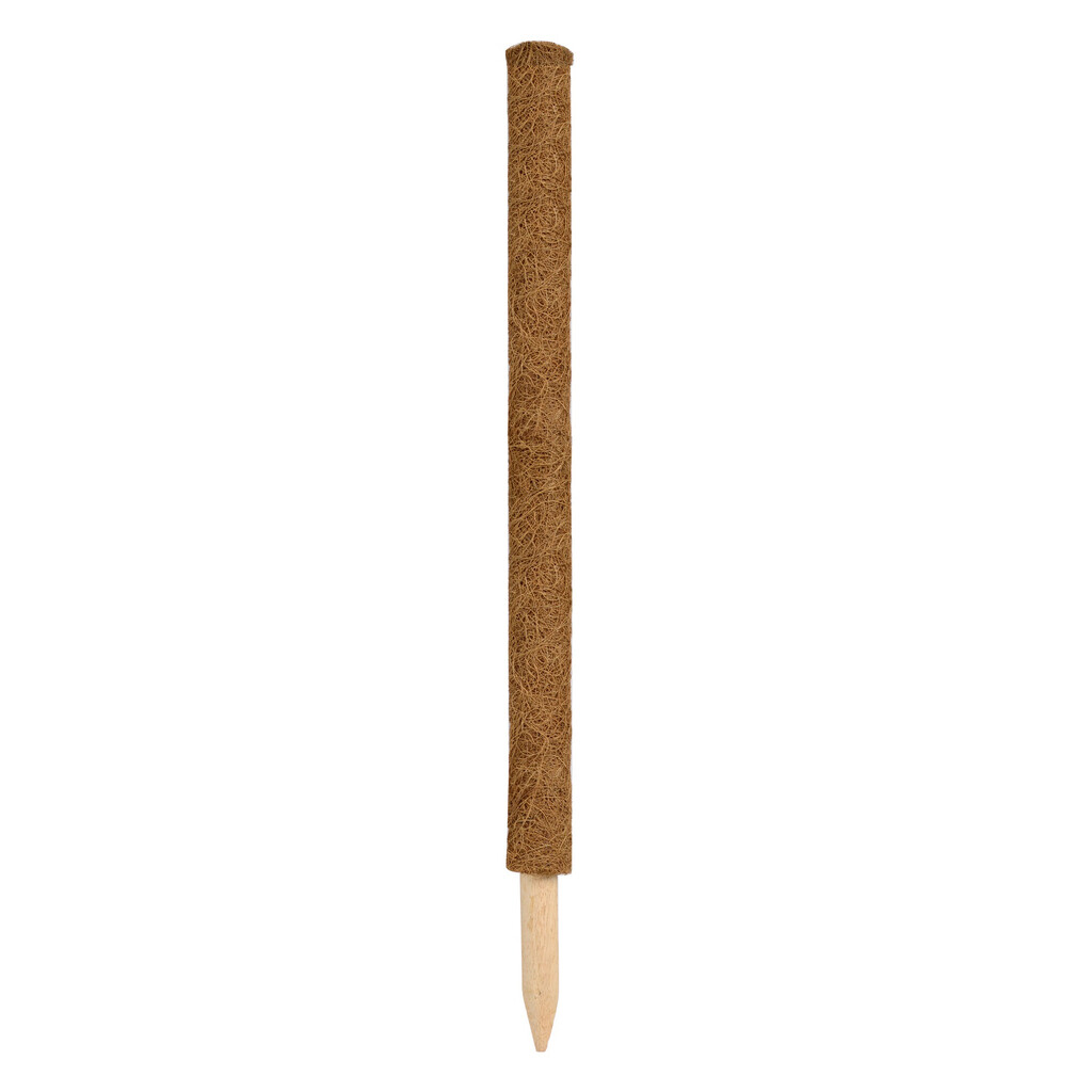 Coco plantstakes-kokosplantstokken 60cm