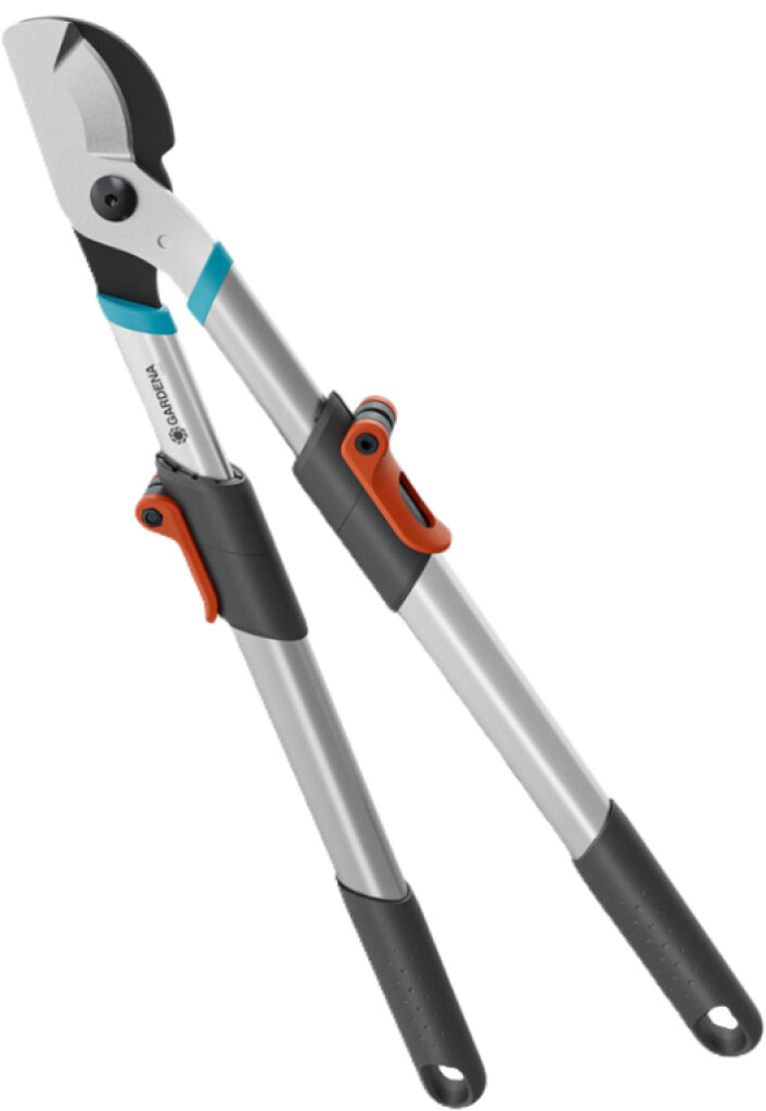 Sécateur télescopique Telecut Basic