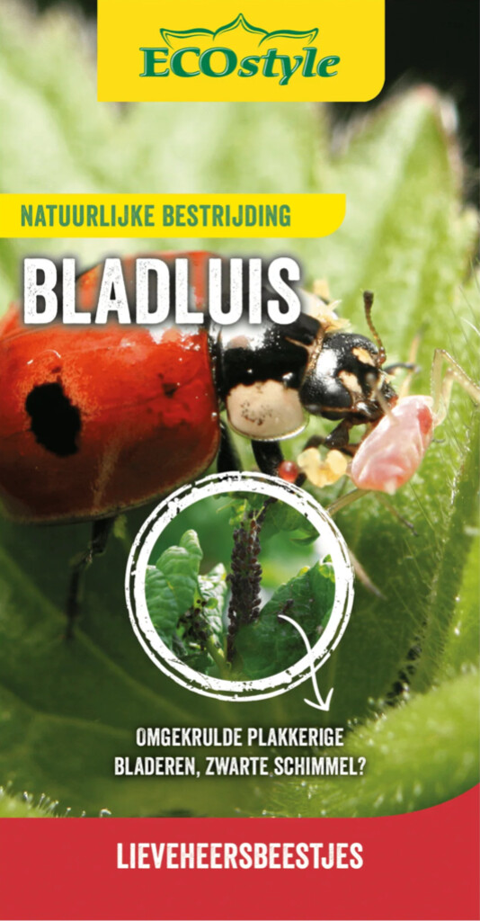 Élevage de coccinelles contre les pucerons