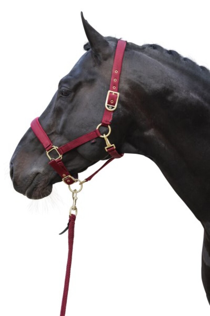 Halster Classy cob rood Halster Classy pony rood