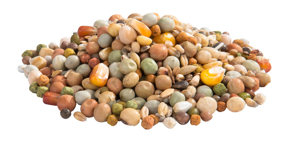 Mutine 20 kg