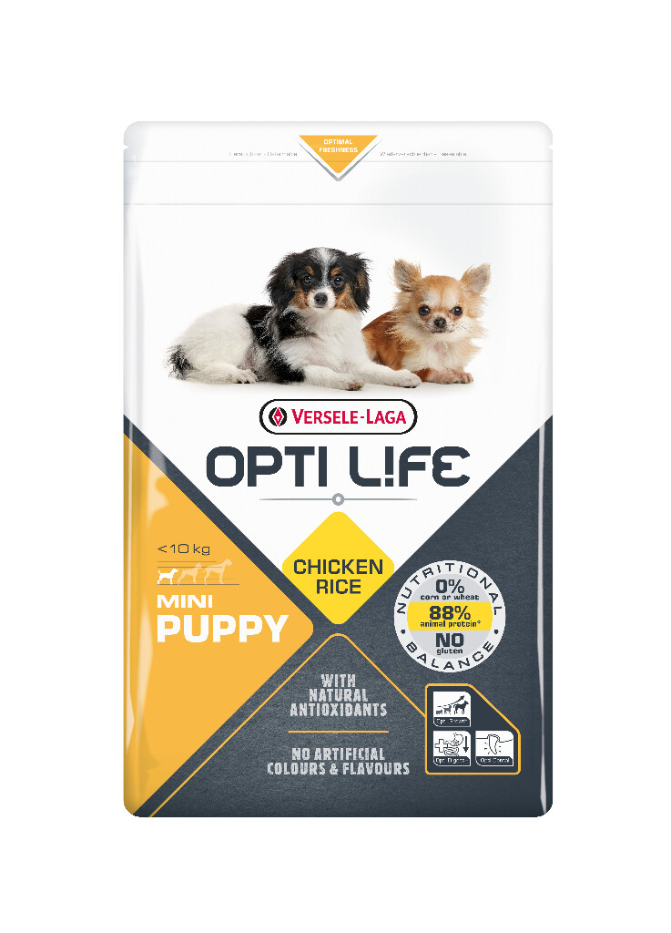 Mini puppy 2,5 kg