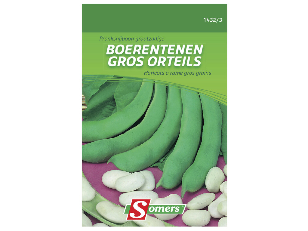 Haricots à Rame Gros grains Gros orteils 80g Haricots à Rame Gros grains Gros orteils 80g