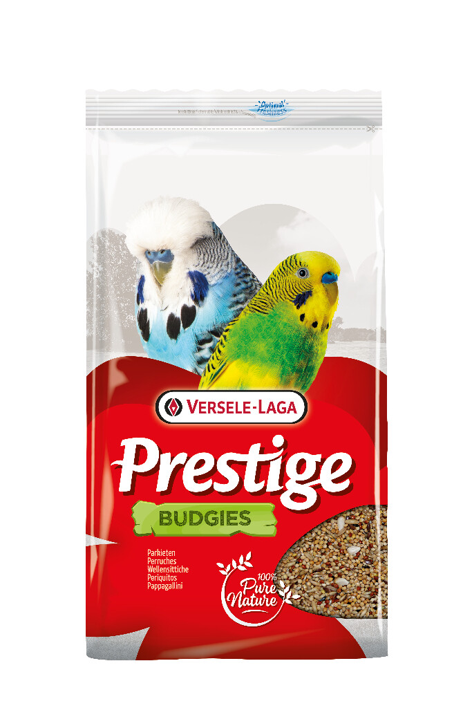 Perruches 4kg