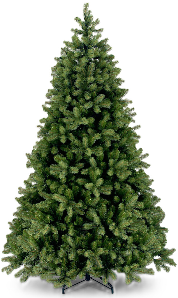 Douglas Green Spruce Hinged H: 195cm