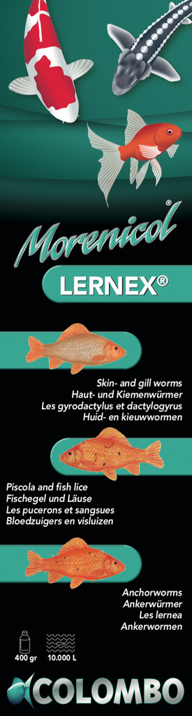 Lernex 400 g