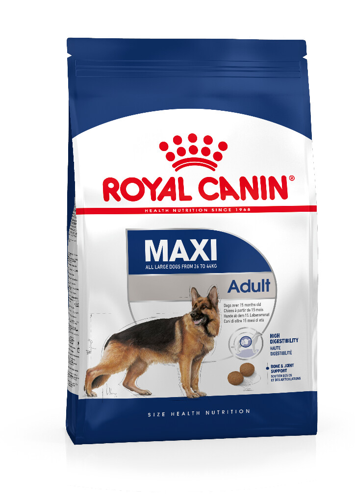 SHN Maxi Adult 4kg