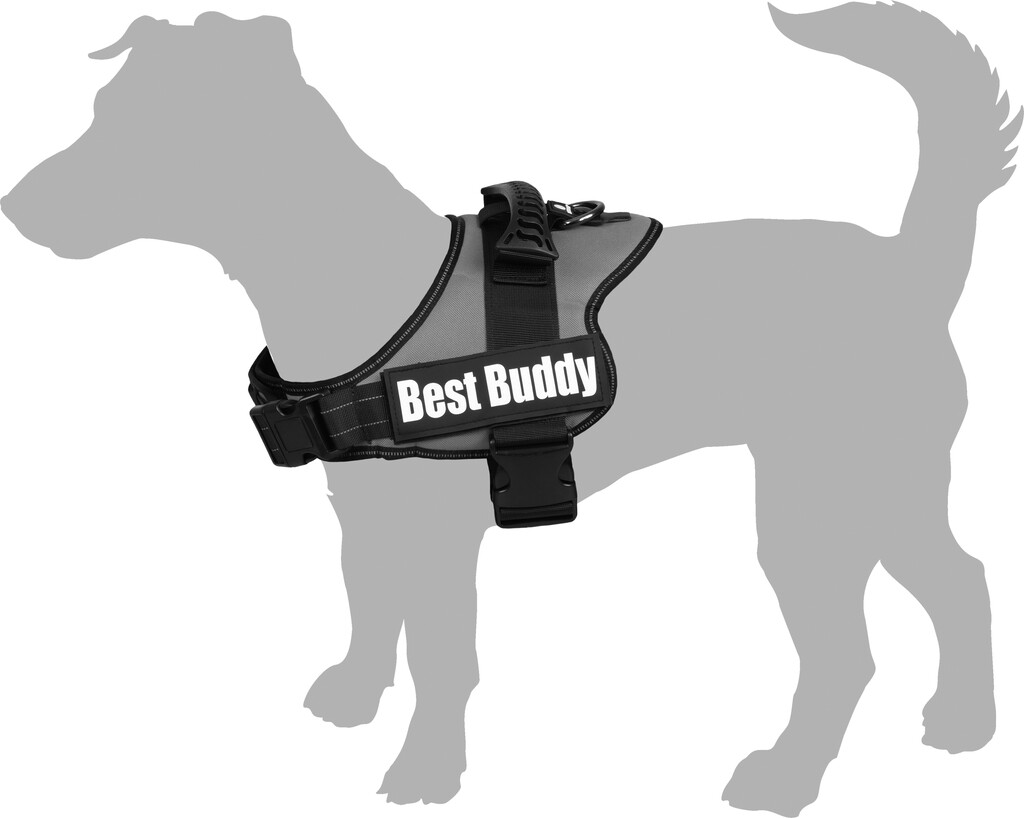 Harnais Best Buddy Pluto Noir XL  Harnais Best Buddy Pluto Noir XL