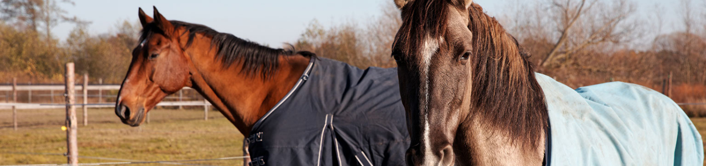 Couverture pour chevaux Couverture pour chevaux