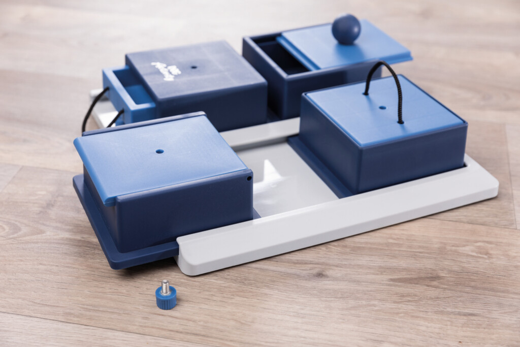 Dog Activity Strategiespel Poker Box 1 Dog Activity Strategiespel Poker Box 1