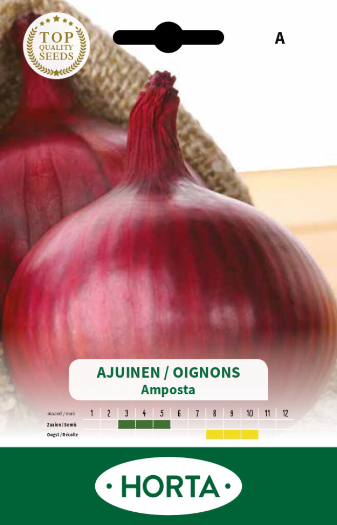 Ajuin rood Amposta