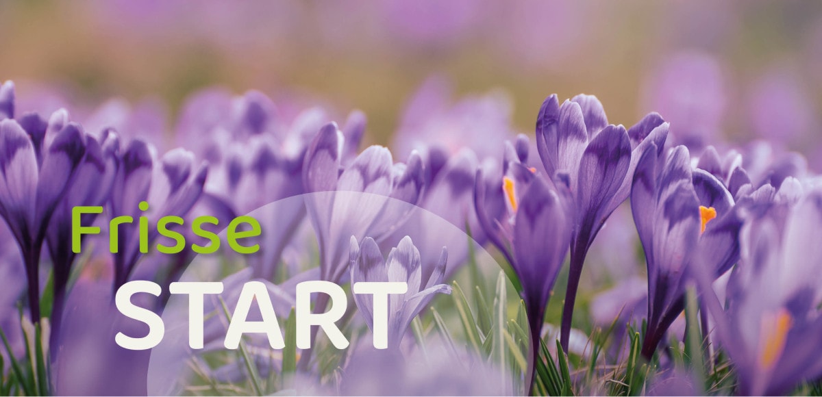 Frisse start
