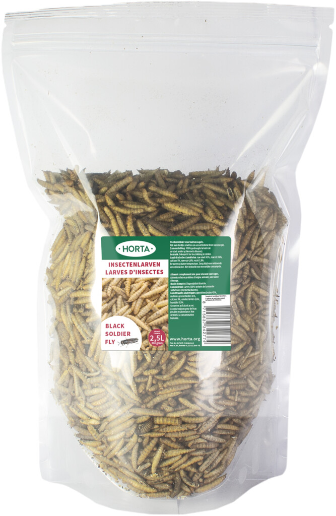 Larves d'insectes mouche soldat noir 300g