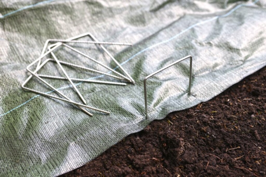 Agrafe torsadé H20x10cm 20x Ø4mm métal, pointe aigue. Agrafe torsadé H20x10cm 20x Ø4mm métal, pointe aigue.