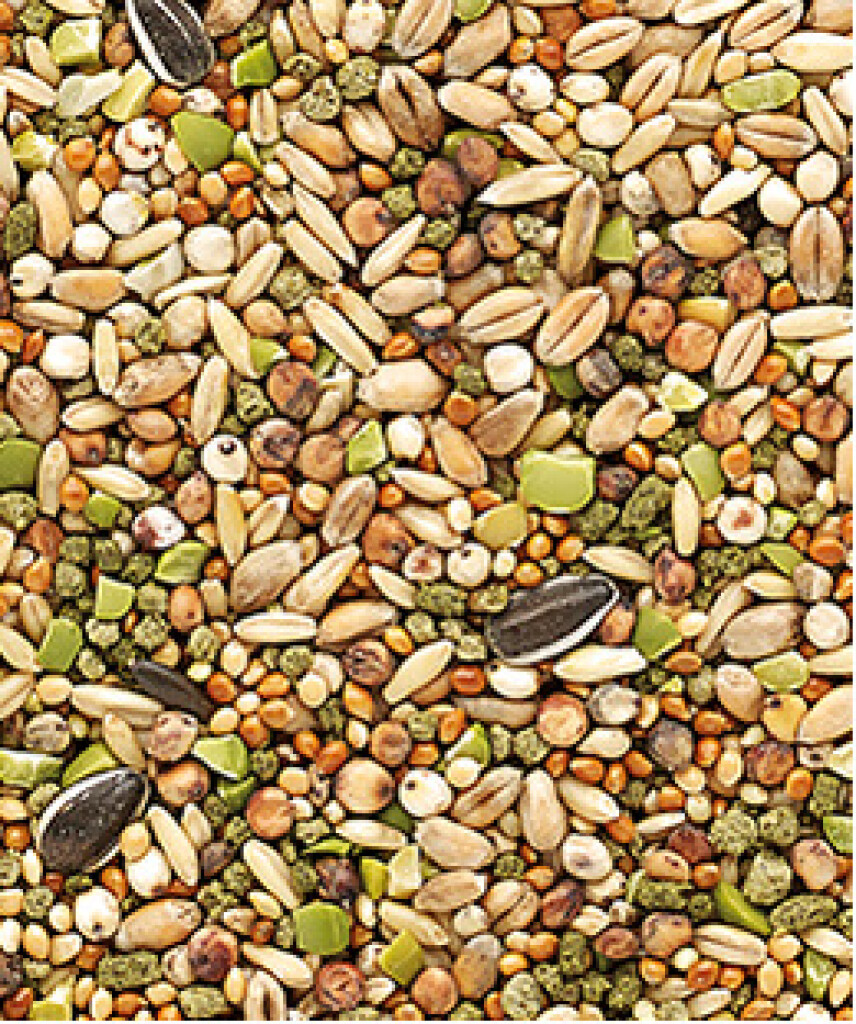 Snack Garden Mix 1kg