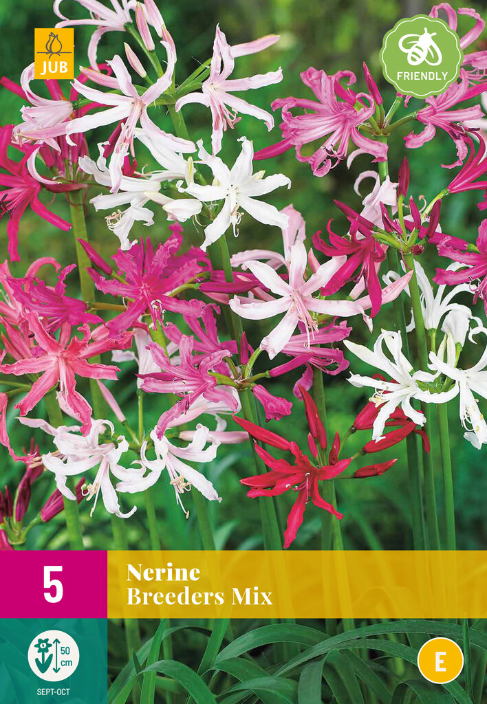 X 5 NERINE BREEDERS MIX X 5 NERINE BREEDERS MIX