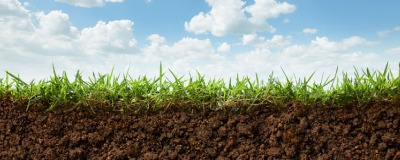 Optimale zuurtegraad van je bodem