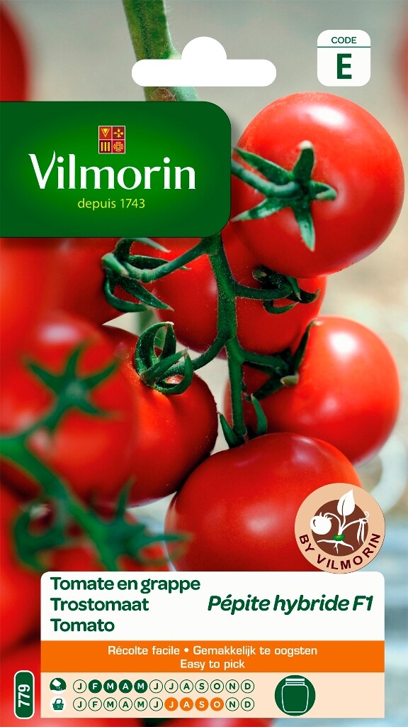 Tomate en grappes Pépite HF1 Tomate en grappes Pépite HF1
