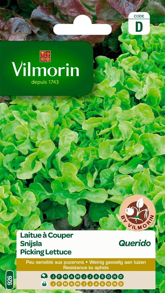 Snijsla Querido Snijsla Querido