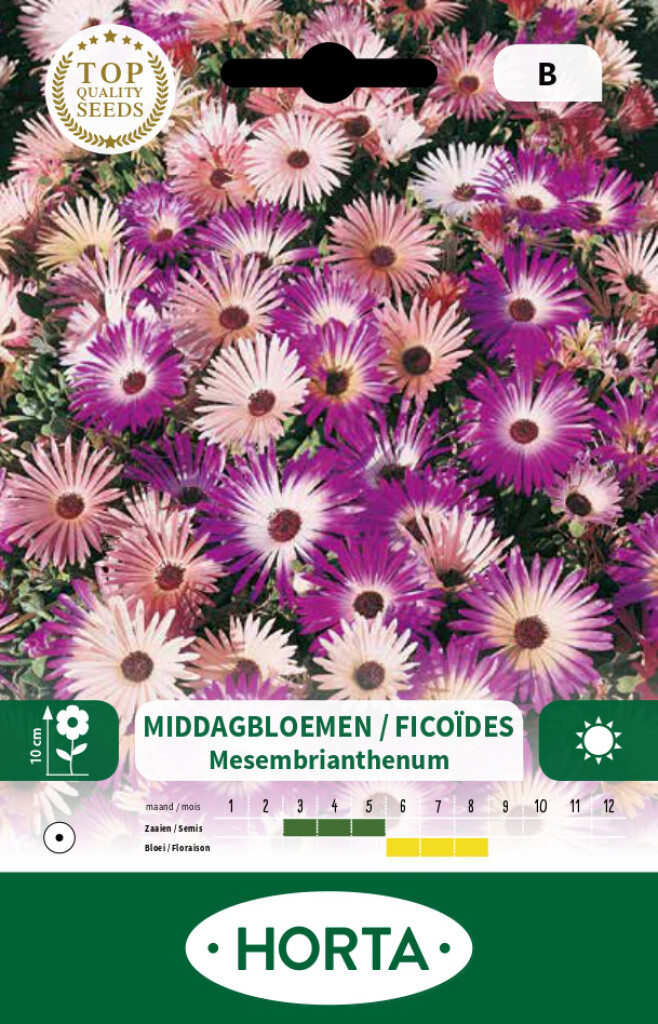 Mesembrianthenum (middagbloem) gemengd
