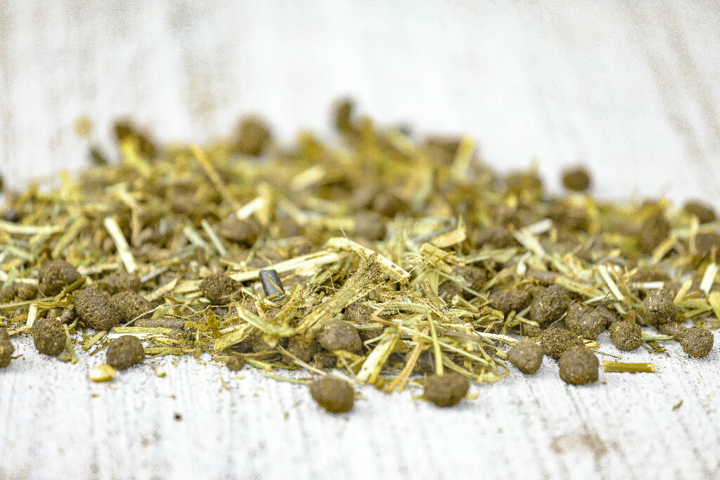Muesli FiberForce 15kg