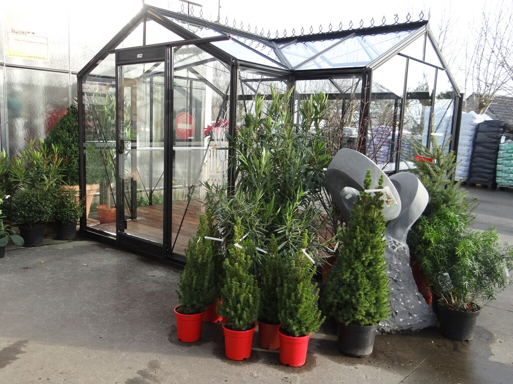 Orangerie Prestige Aurelie