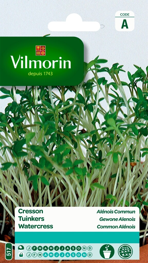 Cresson Alenois Commun Cresson Alenois Commun