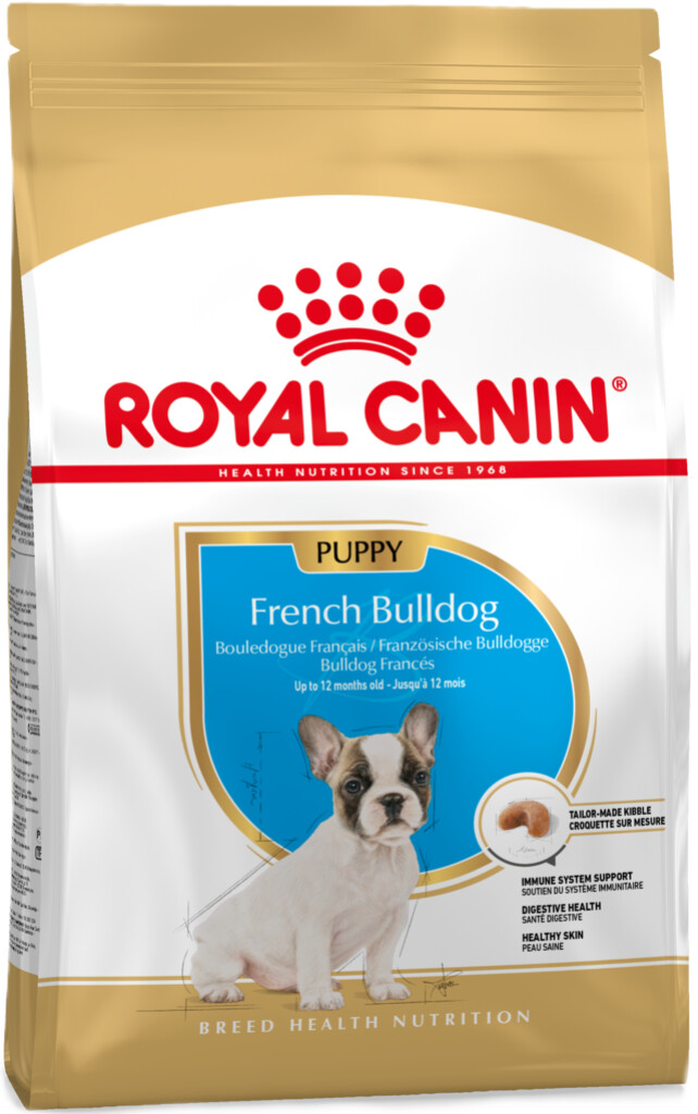 BHN French Bulldog Puppy 3kg
