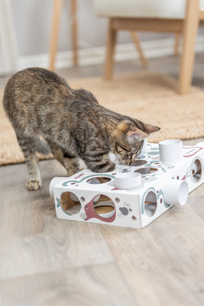 Cat Activity Paws'n'Treats Box carton 35X7X20cm
