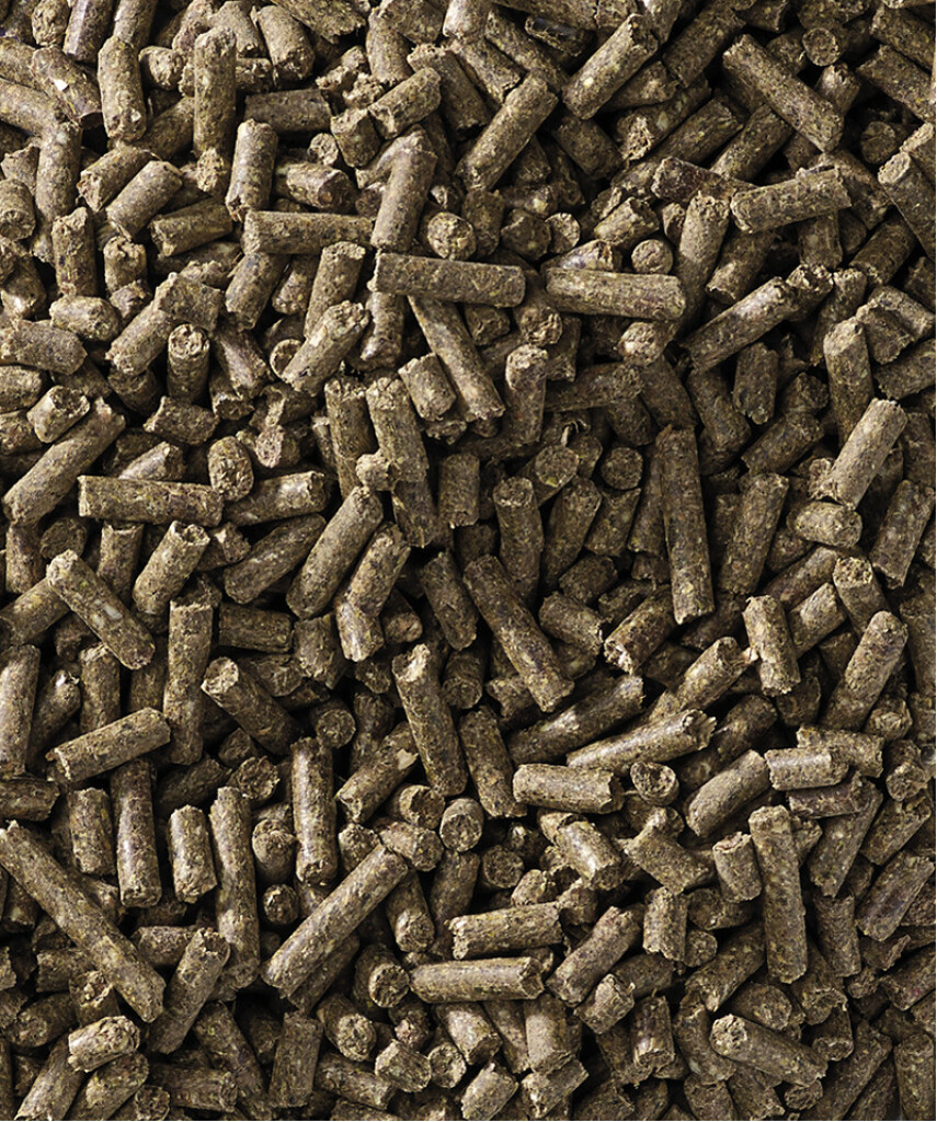 Harmony - Tradition Pellet 20kg Harmony - Tradition Pellet 20kg
