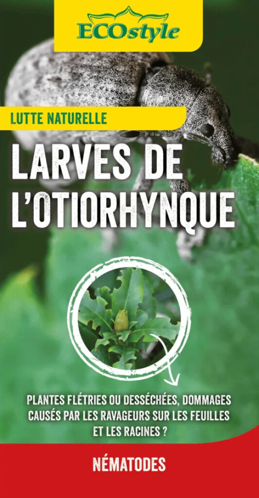 Nématodes contre les larves de coléoptères de l'if : 250 millions de nématodes/500 m²