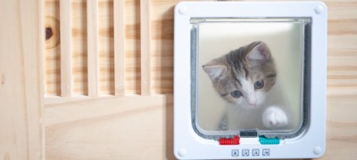 genoeg gespannen Nadruk Een kattenluik: veel keuze, nog meer voordelen | Horta Tuin&Dier