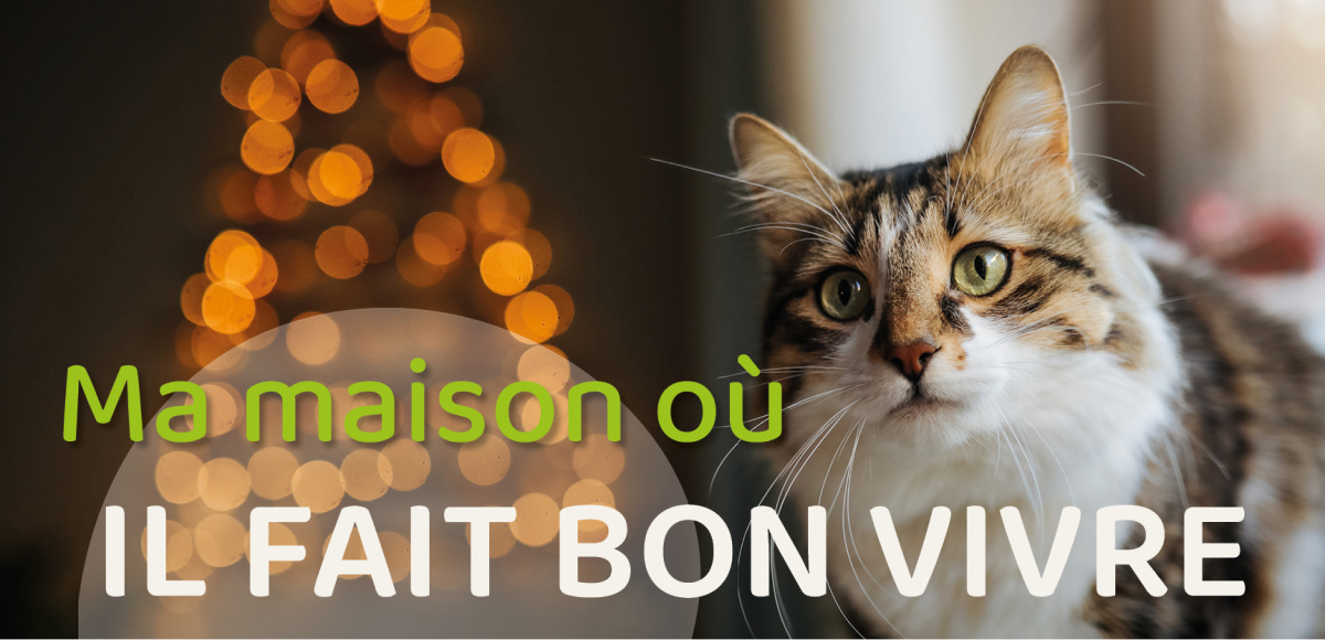 Ma maison ou il fait bon vivre