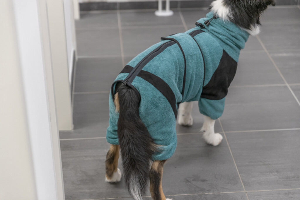 Bad- en huisoverall voor honden, badstof XS Bad- en huisoverall voor honden, badstof M-L