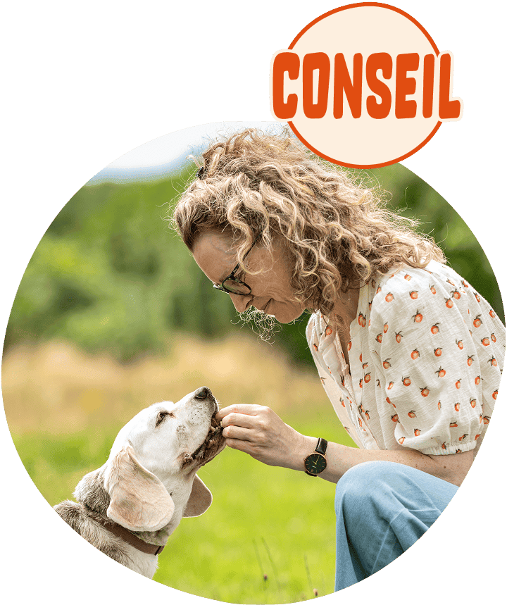conseil