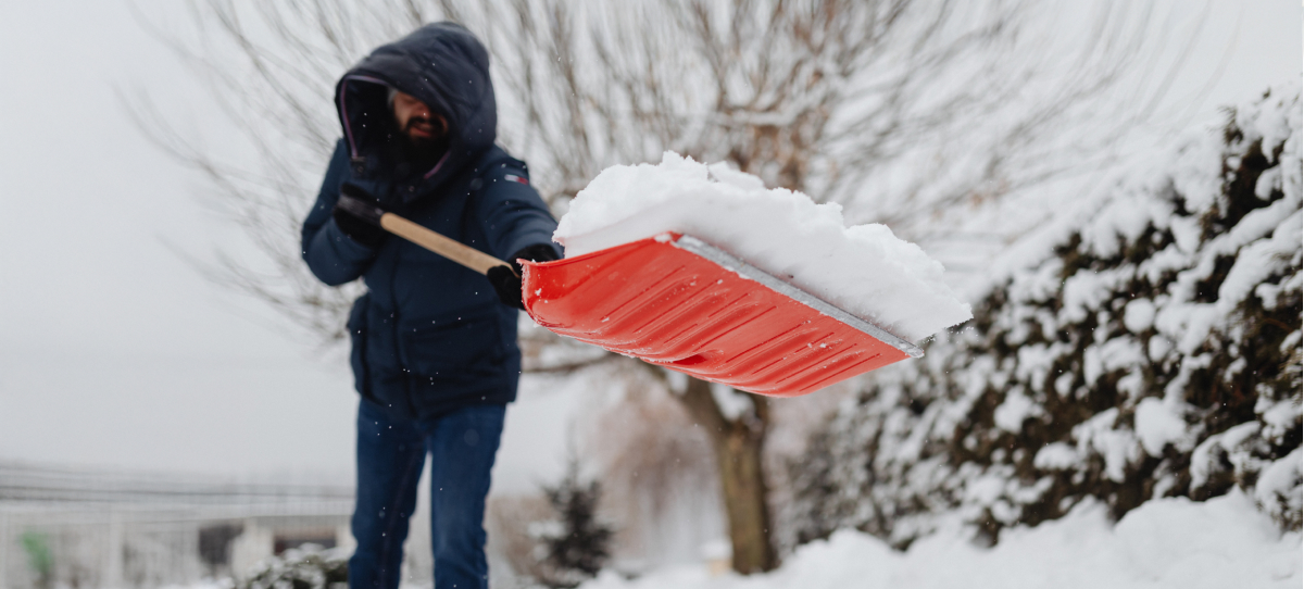 Wat te doen in de tuin : december
