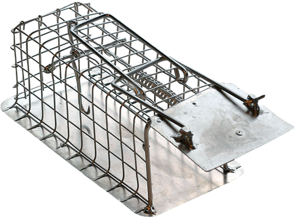 Cage à souris 1 entrée