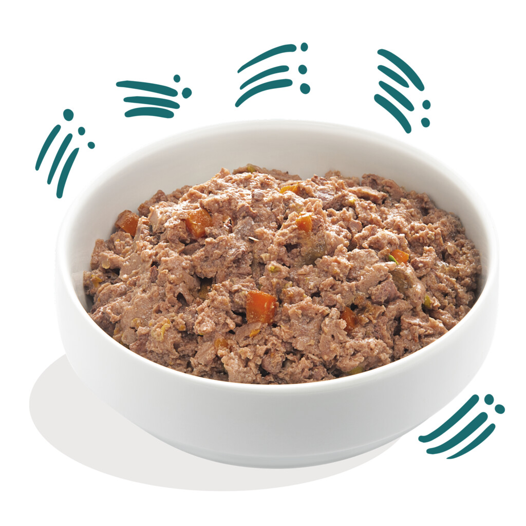 Biologische kip & vis 100g - puppy - kuipje