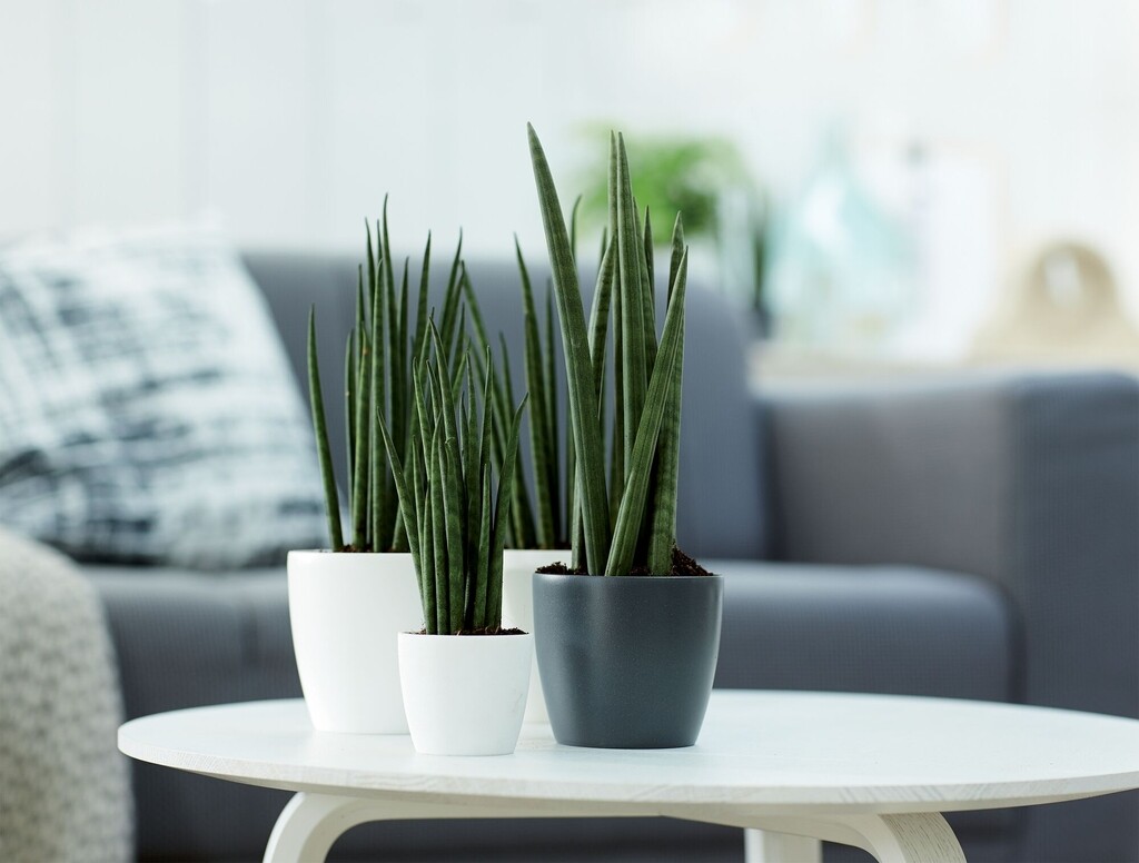 Brussels Rond Mini 9,5cm wit Brussels Rond Mini 9,5cm wit