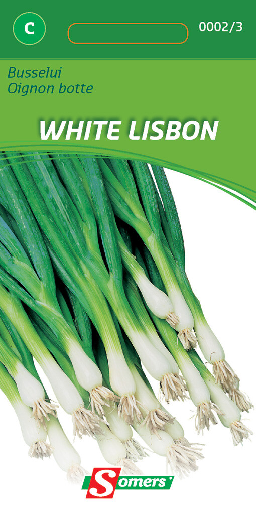 Busselui White Lisbon