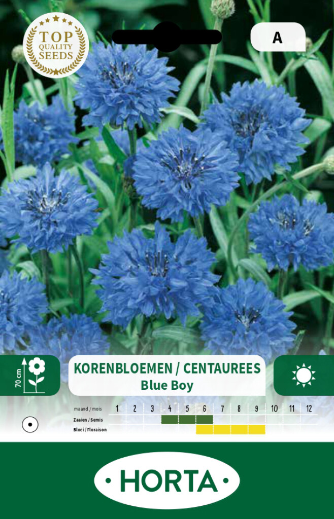 Centaurea (korenbloem) Blue Boy