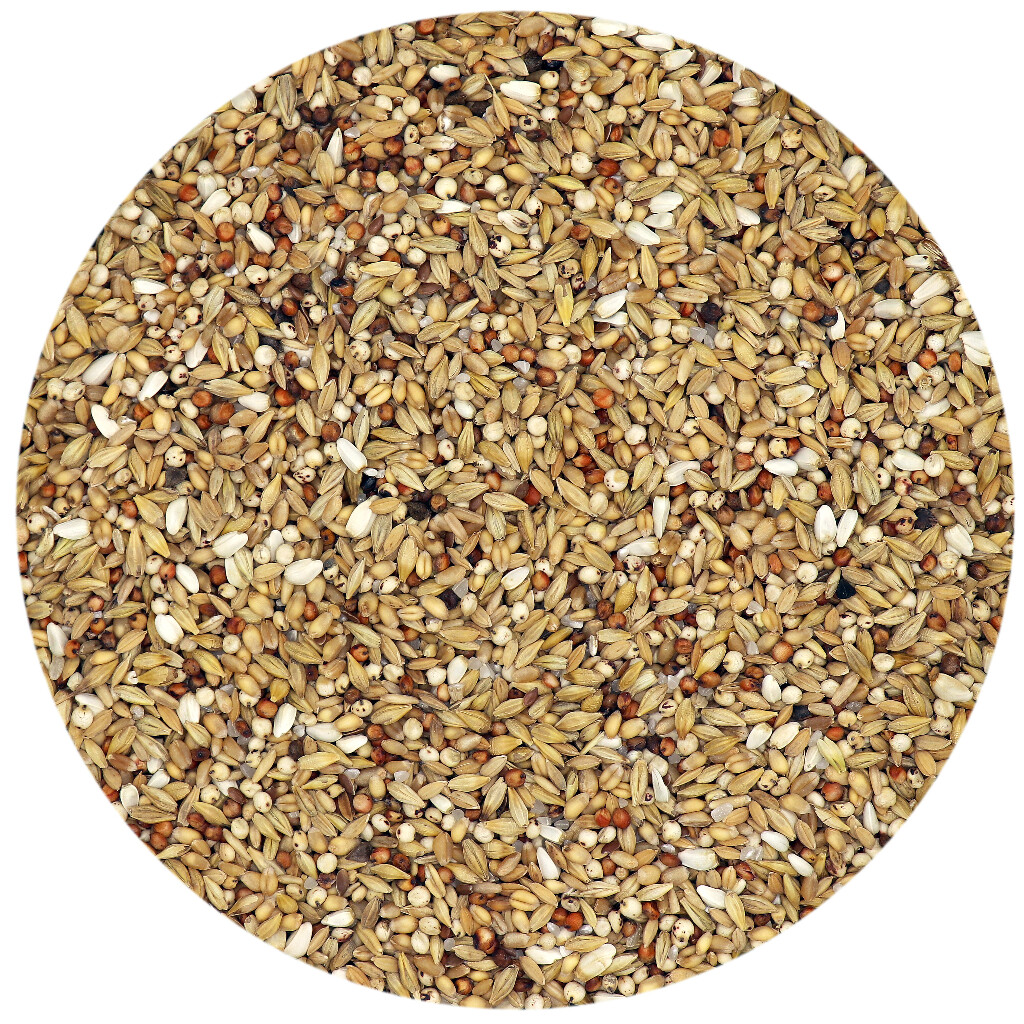 Mélange de graines Dépuratif 25 kg