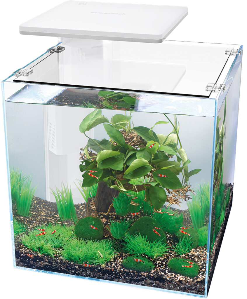Qubiq Aquarium 30 Pro blanc